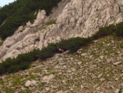 Regina-F-Rau_2013-08-15_Frohkostgipfel  (132).JPG